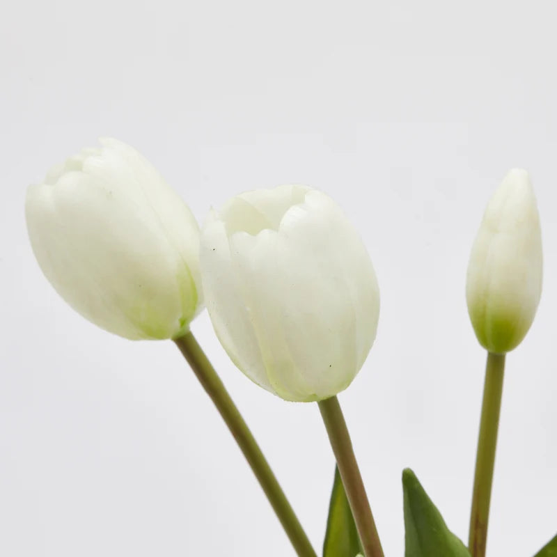 Tulipani gommati mazzo da 5 boccioli H40 bianco - EDG