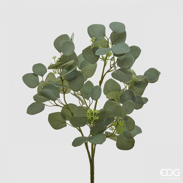 Mazzo foglie Eucalipto Real 52h cm - EDG