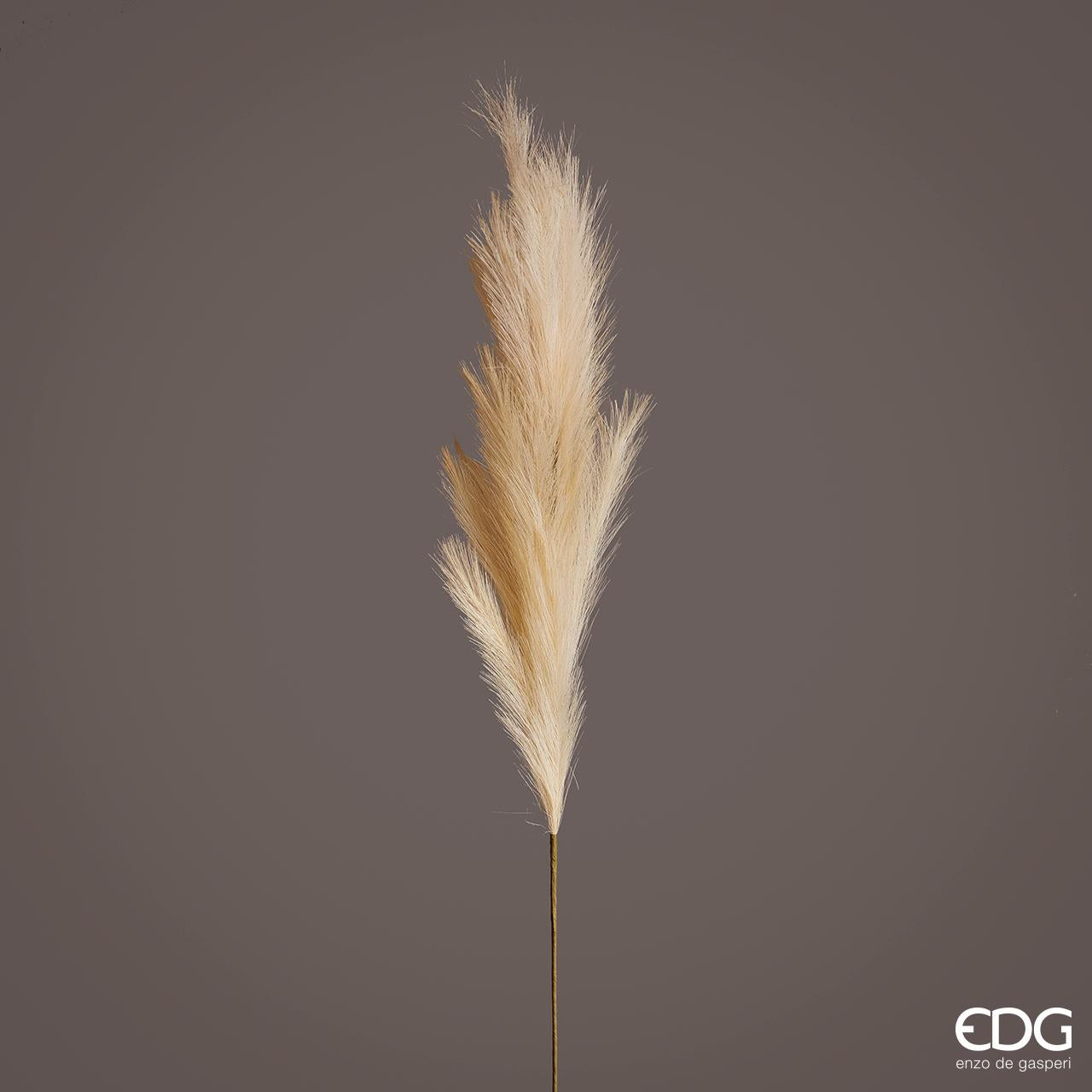 EDG - Pampa Ramo H100