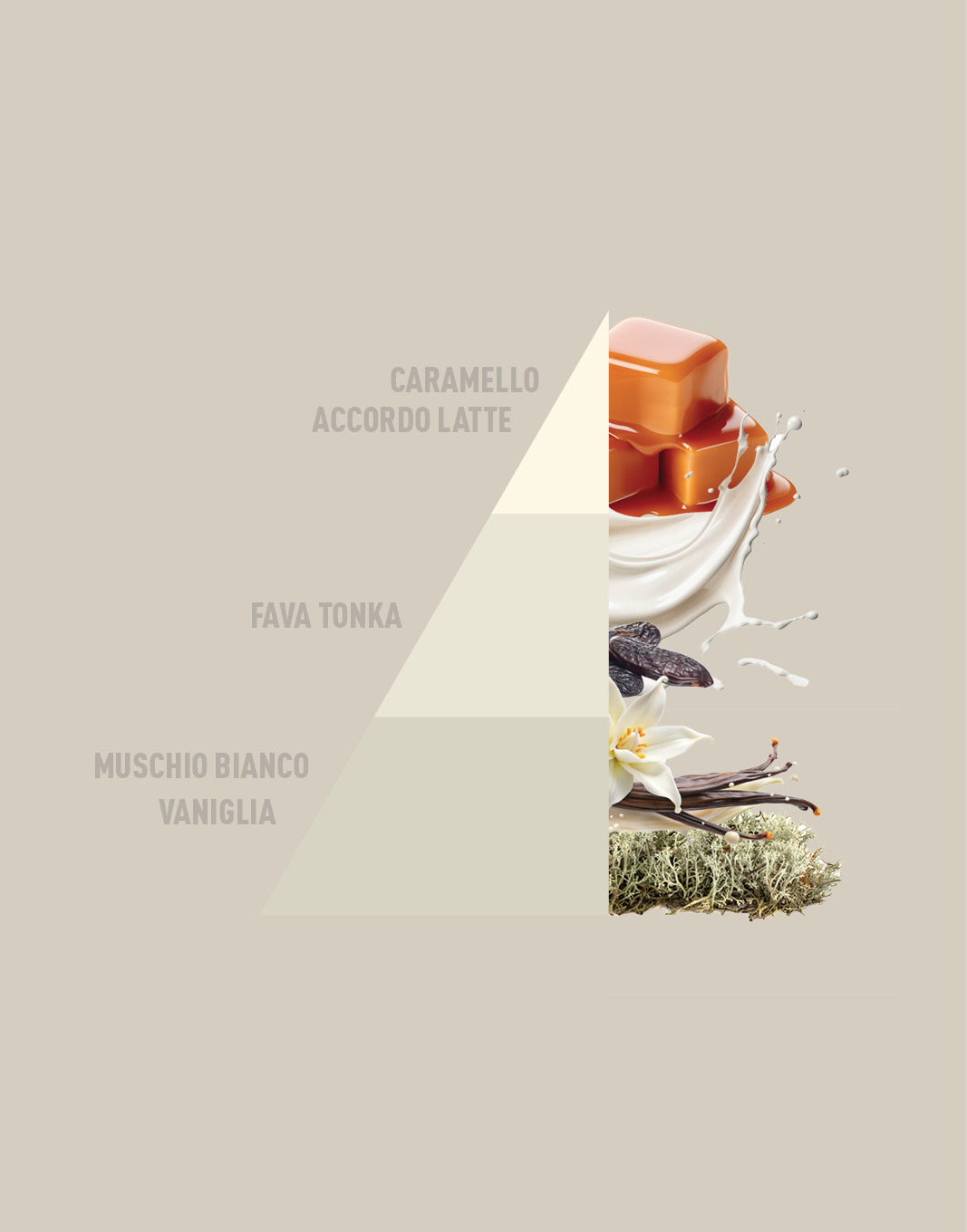 Profuma bucato Bianco latte - HOROMIA