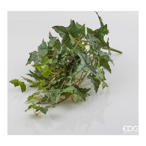 Mazzetto di Edera cadente verde H70 - EDG