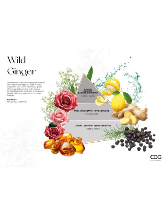 Diffusore di fragranze 'Wild Ginger' 1.000ml - EDG