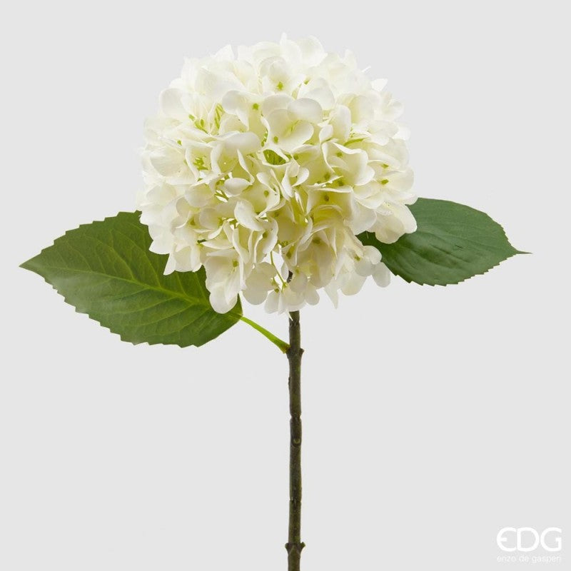 Ortensia OLIS ramo bianco h48 - EDG