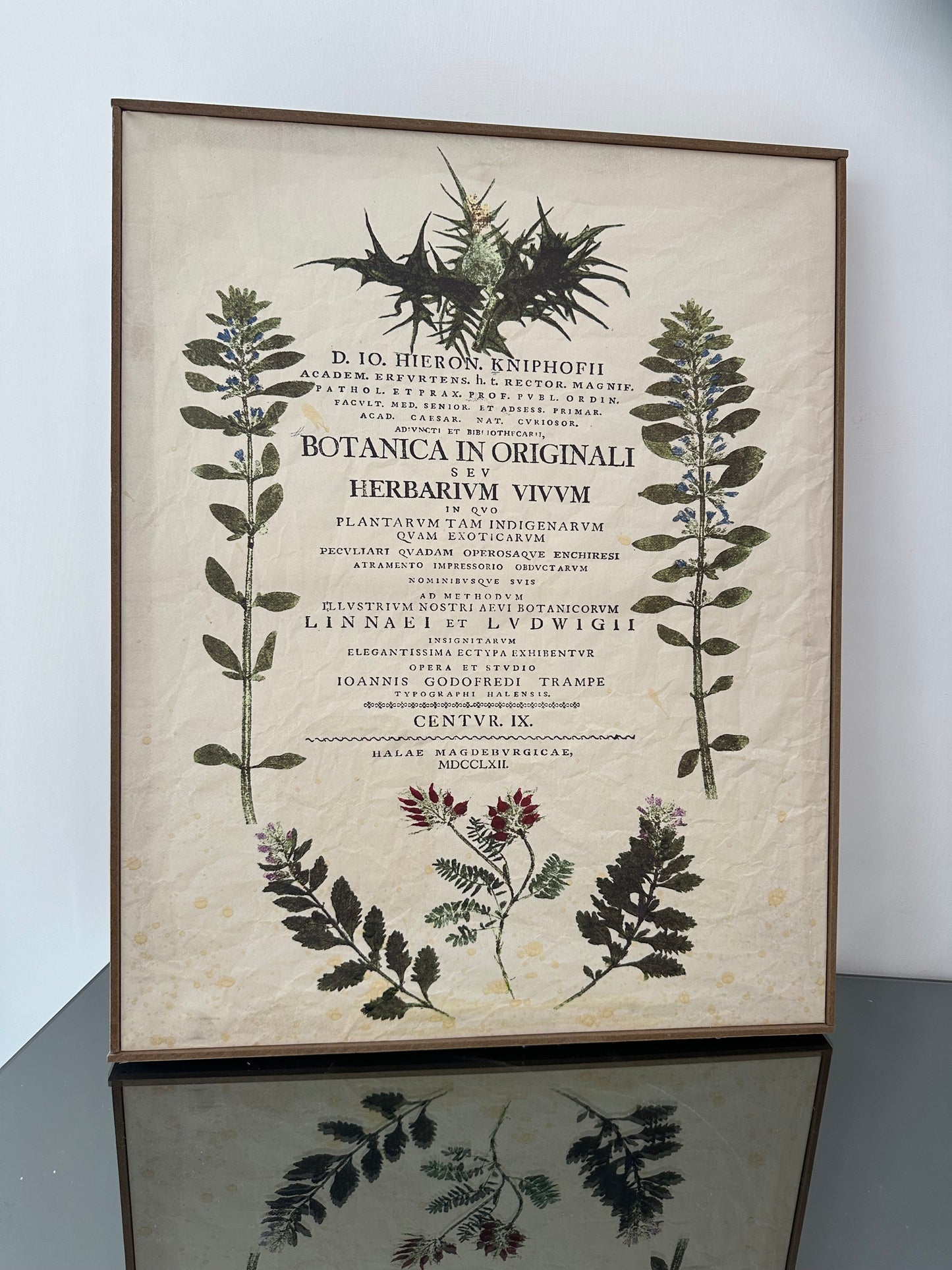 Quadri con foglie ass. 40x50h - Blanc Mariclò