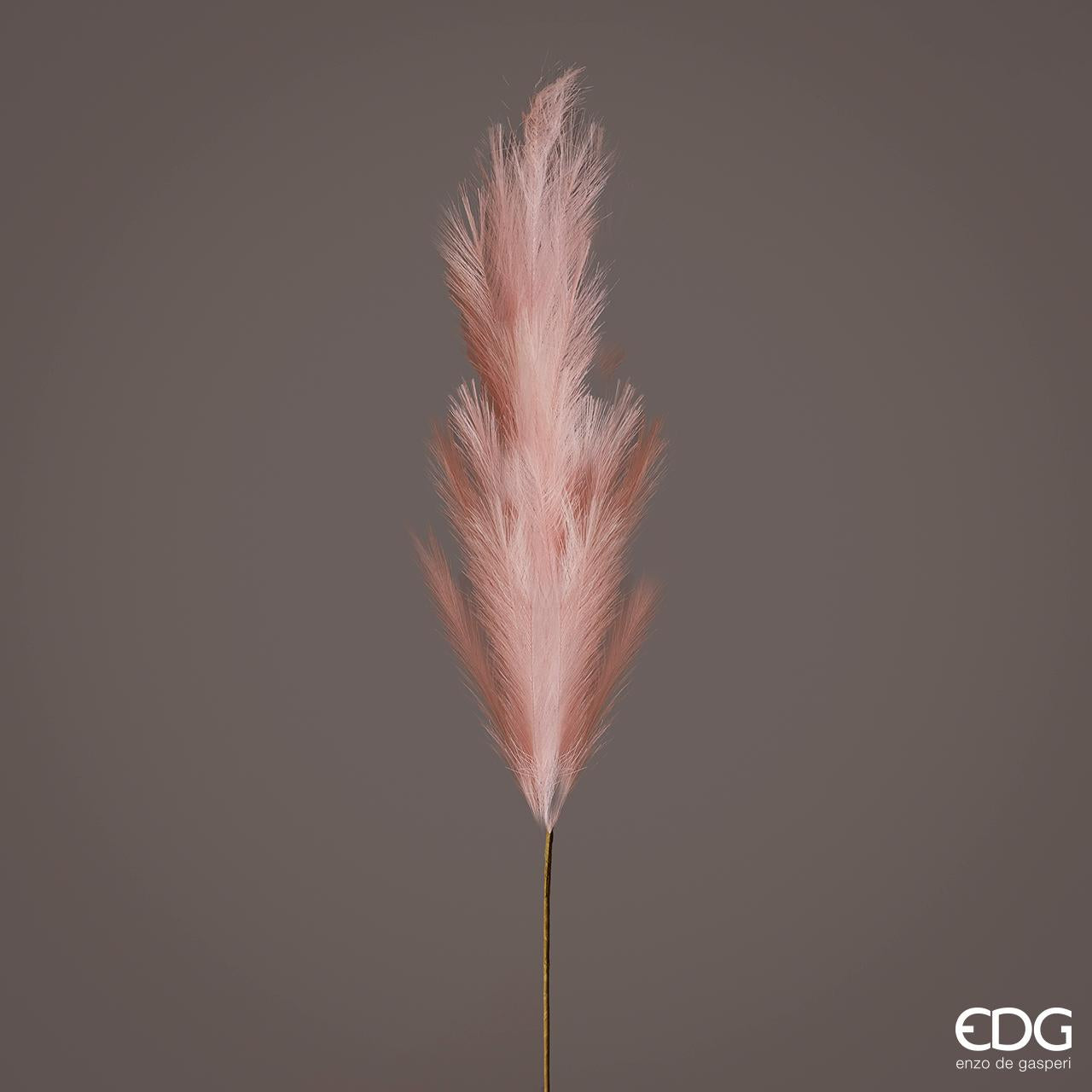 EDG - Pampa Ramo H100