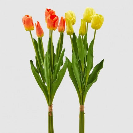 Tulipani ass. Gialli e Arancioni mazzi x5fiori 52h- EDG