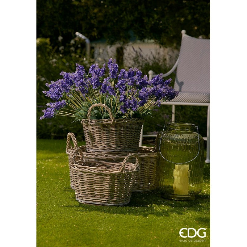 Lavanda prix cesp.x6 h48 - EDG