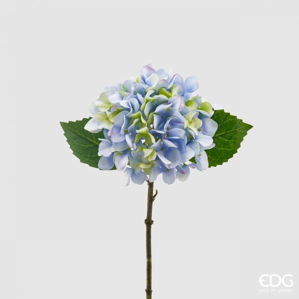 Ortensia 'Olis' celeste polvere D15xH30cm - EDG