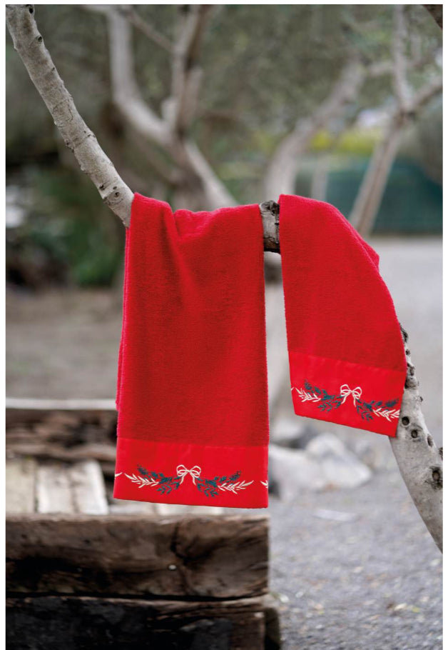 Coppia spugna linea fiocchi natalizia - Clodette