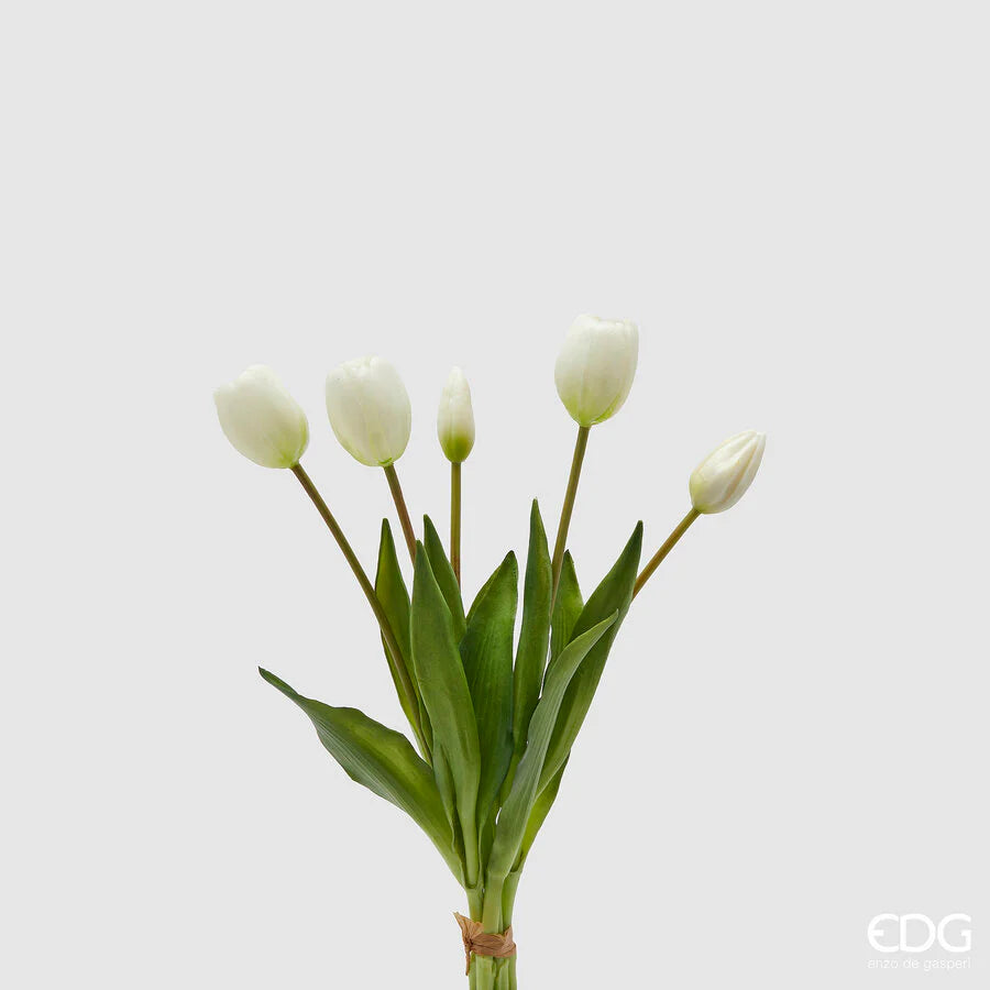 Tulipani gommati mazzo da 5 boccioli H40 bianco - EDG