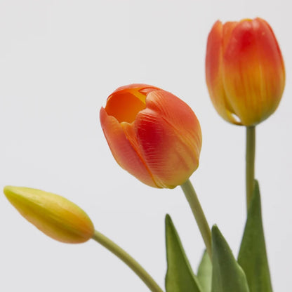 Tulipani gommati mazzo da 5 boccioli H40 arancio - EDG