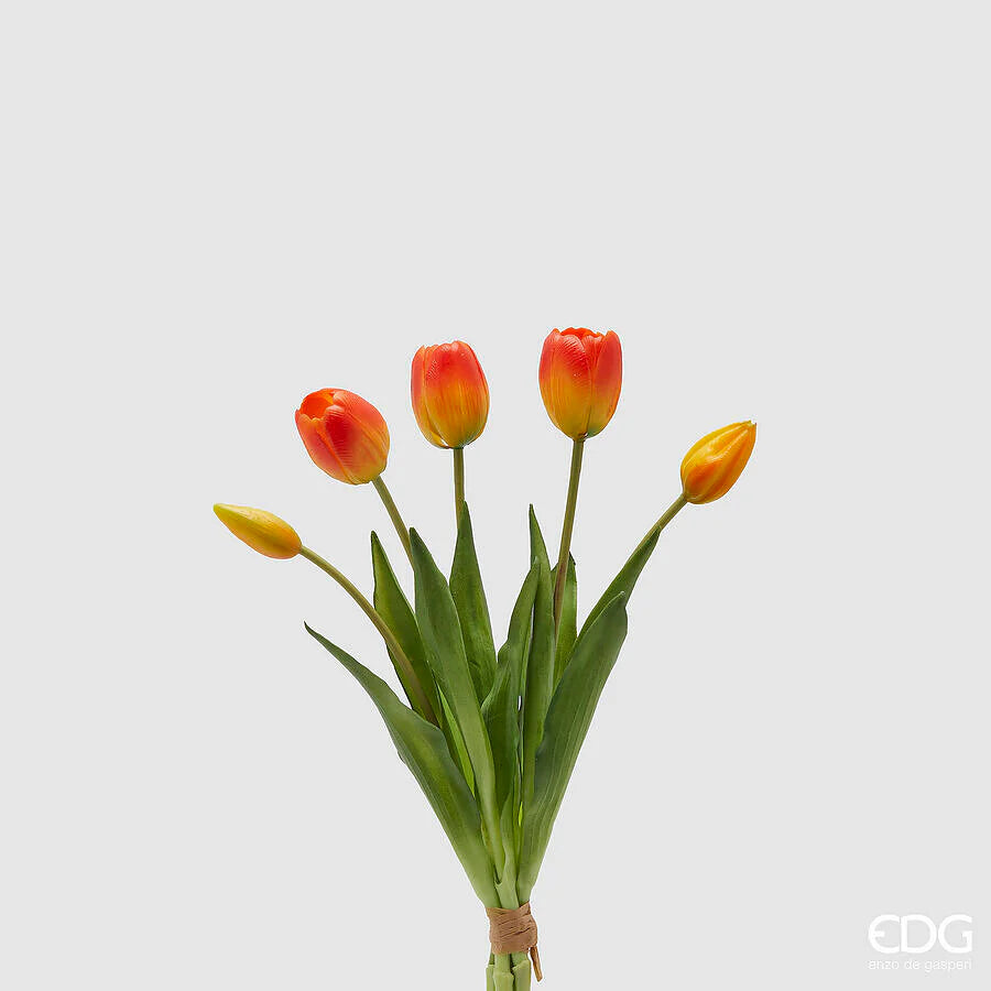 Tulipani gommati mazzo da 5 boccioli H40 arancio - EDG