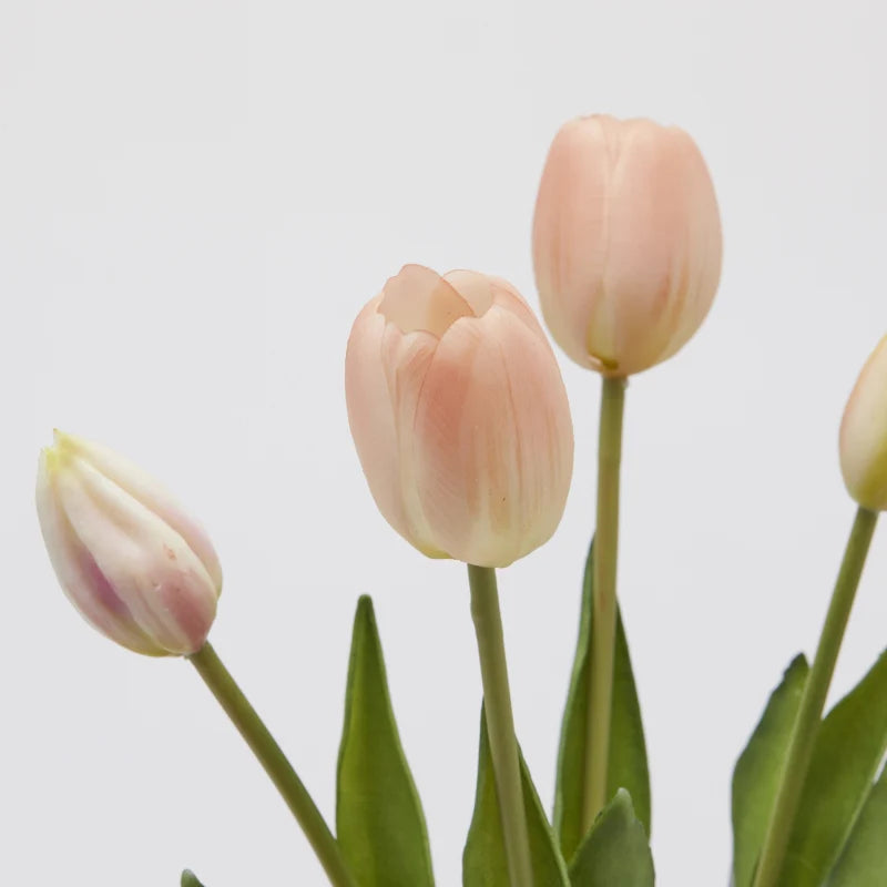 Tulipani gommati mazzo da 5 boccioli H40 rosa - EDG