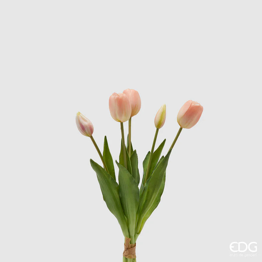 Tulipani gommati mazzo da 5 boccioli H40 rosa - EDG