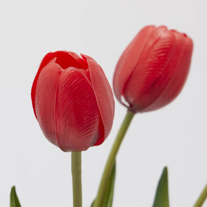 Tulipani gommati mazzo da 5 boccioli H40 rosso - EDG