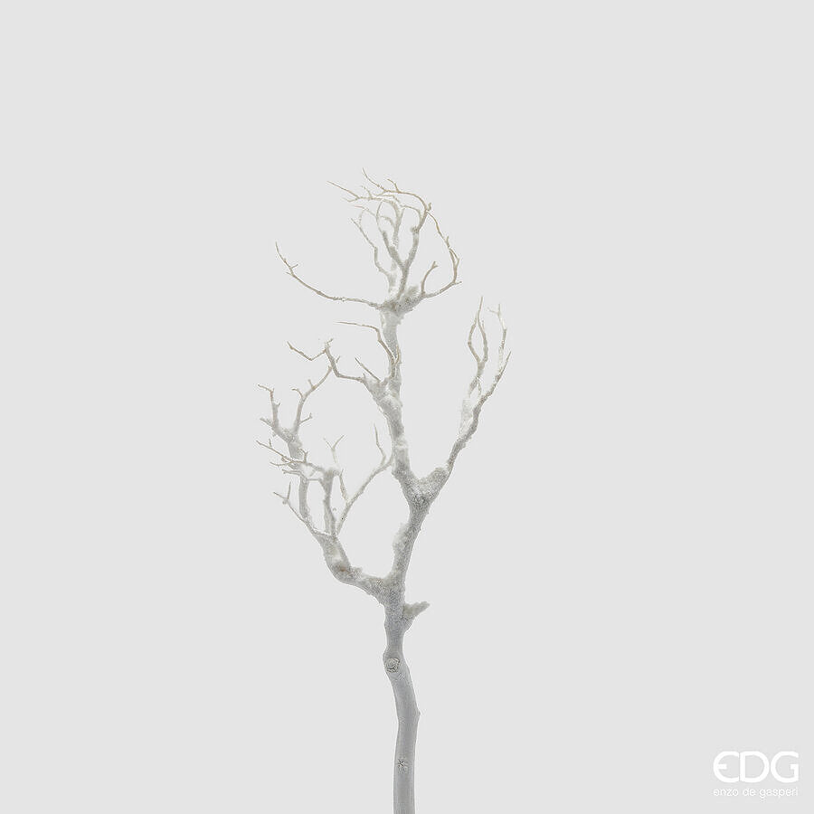 Ramo innevato 'Acacia' H68 - EDG