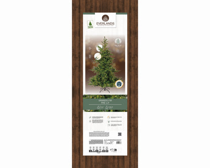 Alberi di natale verde 'Grandis fir' con LED D162xH210 - Kaemingk