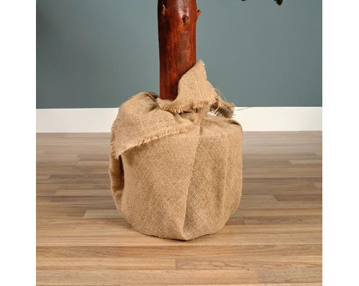 Alberi di natale 'Tora pine snowy' D120 x H240 - Kaemingk