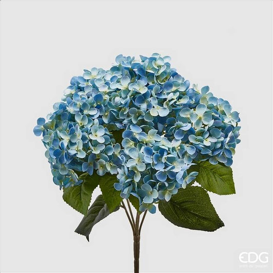 Ortensia Chic fiorix5 h45 - EDG