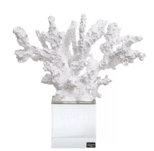 Scultura Corallo - Chiaraela