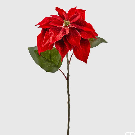 Ramo stella di Natale H 71 - EDG