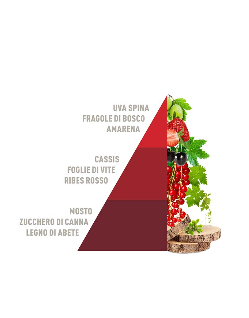 Ricarica per diffusore a bastoncini Vigneto Rossa 500ml - Horomia