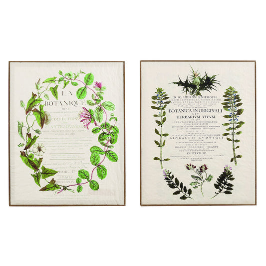 Quadri con foglie ass. 40x50h - Blanc Mariclò