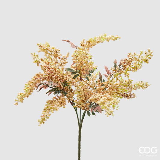 Sorriso OLIS cespuglio 5rami h32 - EDG