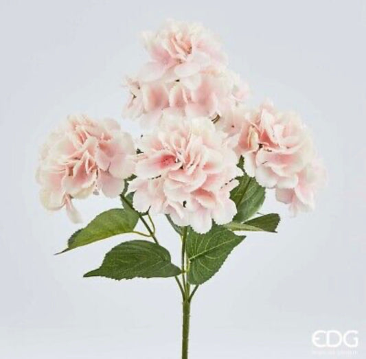 Ortensie mazzx5 colore rosa chiaro - EDG