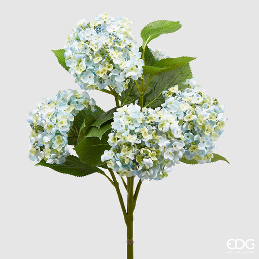Ortensia Chic fiorix5 h45 - EDG