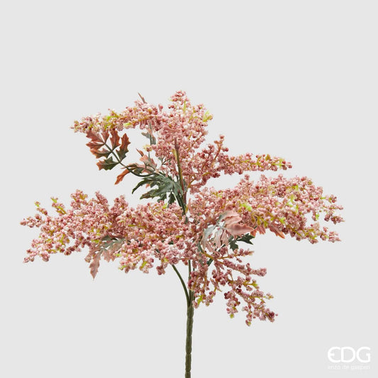 Sorgus OLIS cespx5 h32 Pink - EDG